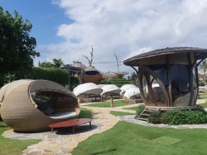 galeri sakura indah rotan 01