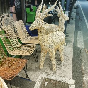 galeri sakura indah rotan 23